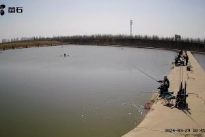 某钓鱼黑坑，鱼塘监控安装案例